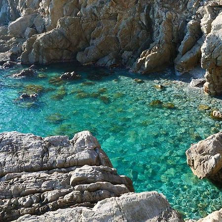 Il Cuore Di Moneglia - Moneglia Apartments المظهر الخارجي الصورة