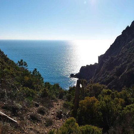 Il Cuore Di Moneglia - Moneglia Apartments المظهر الخارجي الصورة