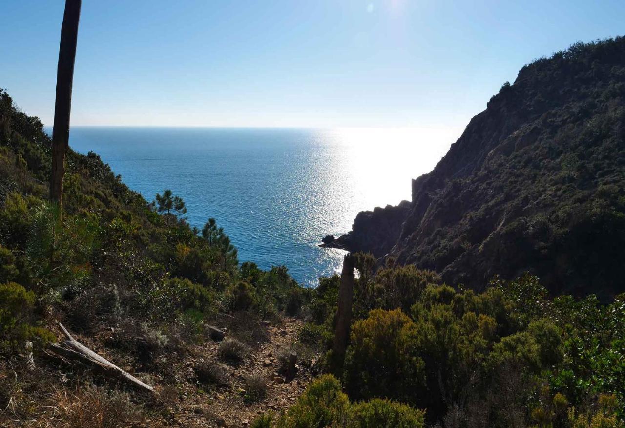 Il Cuore Di Moneglia - Moneglia Apartments المظهر الخارجي الصورة